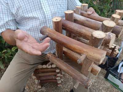 ...andando a creare una sorta di struttura portante a �castelletto��